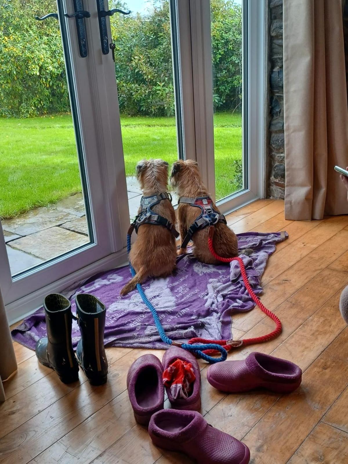Pippin Lodge Llanwrda 外观 照片