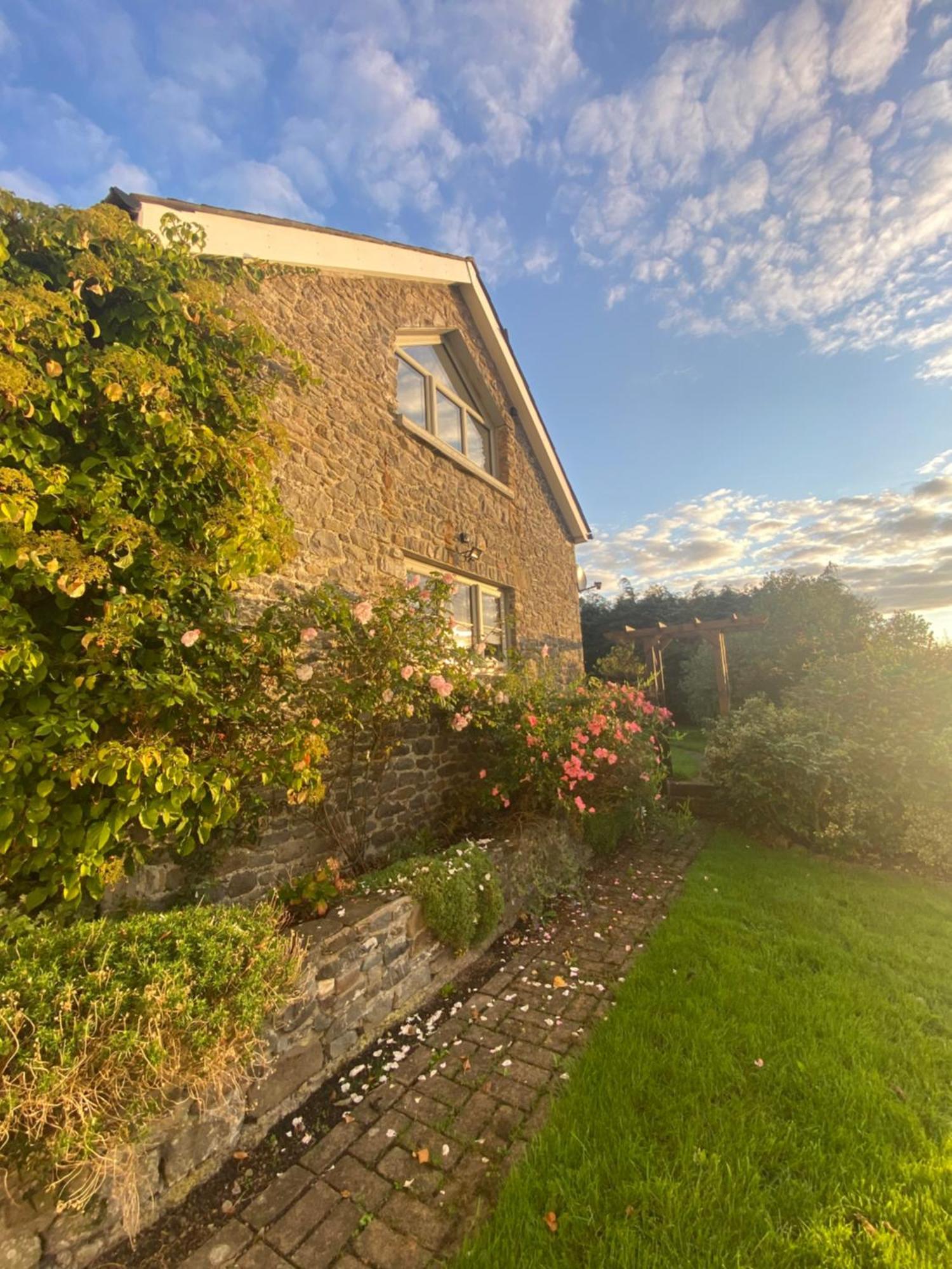 Pippin Lodge Llanwrda 外观 照片