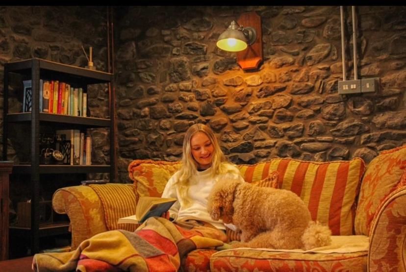 Pippin Lodge Llanwrda 外观 照片