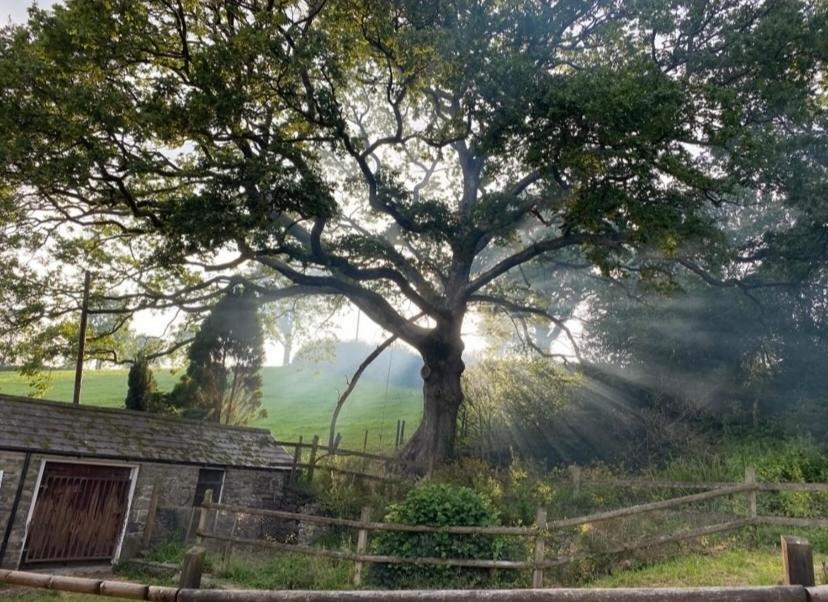 Pippin Lodge Llanwrda 外观 照片