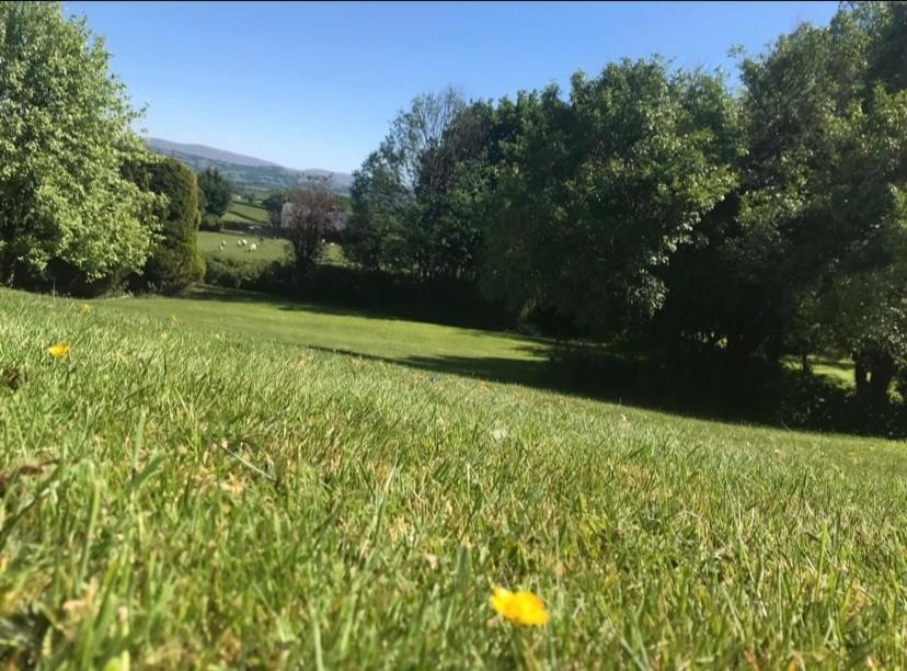 Pippin Lodge Llanwrda 外观 照片