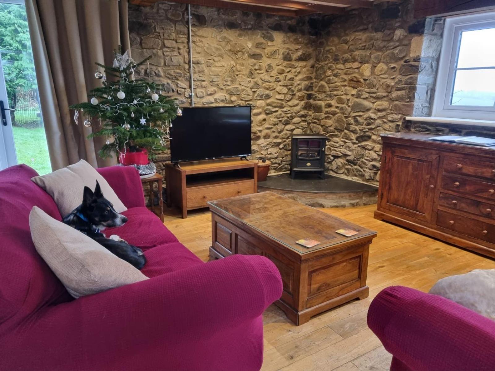 Pippin Lodge Llanwrda 外观 照片